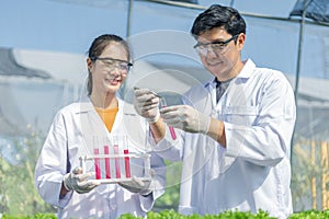 Scientists test the solution, Chemical inspection, Check freshness  at organic, hydroponic farm