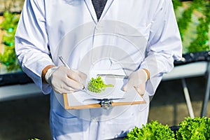 Scientists test the solution, Chemical inspection, Check freshness  at organic, hydroponic farm