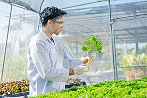 Scientists test the solution, Chemical inspection, Check freshness  at organic, hydroponic farm