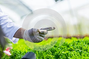 Scientists test the solution, Chemical inspection, Check freshness  at organic, hydroponic farm