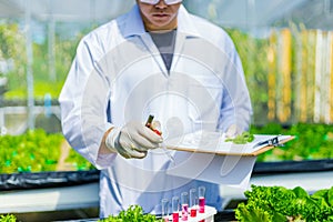 Scientists test the solution, Chemical inspection, Check freshness  at organic, hydroponic farm