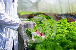 Scientists test the solution, Chemical inspection, Check freshness  at organic, hydroponic farm photo