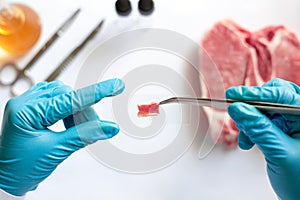 Scientists use forceps to prepare meat specimens on a microscope slide to check the quality of the meat specimens in the