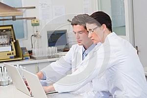 Scientists working attentively with laptop