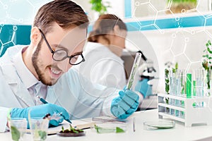 Scientists working with plants at modern laboratory