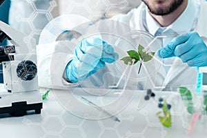 Scientists working with plants at modern laboratory