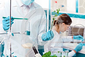 Scientists working with plants at modern laboratory