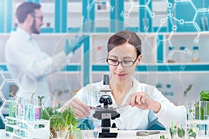 Scientists working with plants at modern laboratory