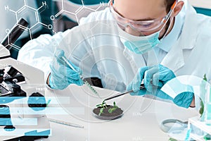 Scientists working with plants at modern laboratory