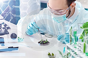 Scientists working with plants at modern laboratory