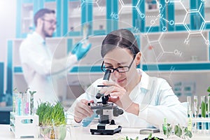 Scientists working with plants at modern laboratory