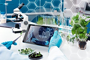 Scientists working with plants at modern laboratory