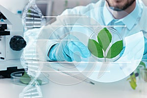 Scientists working with plants at modern laboratory