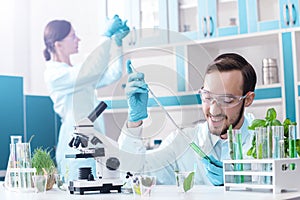 Scientists working with plants at modern laboratory