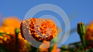 Scientists are working in science labs.