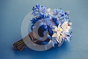 Scilla Flower