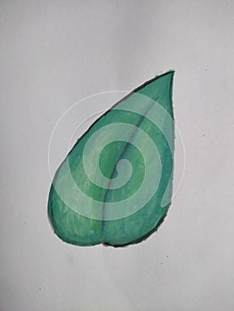 Scindapsus leaf painting inspiration for beginners