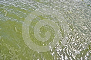 Scintillation of sunlight on the waves in the water photo