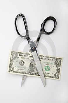 Scissor Cutting Dollar Bill