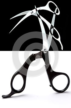 Scissors