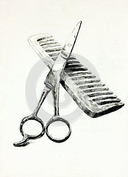 Scissors and comb