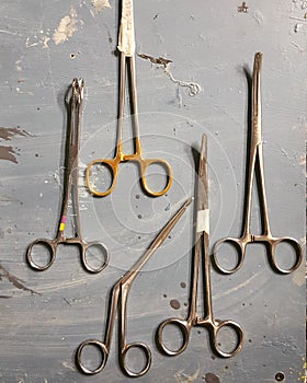 The Coroner& x27;s Kit