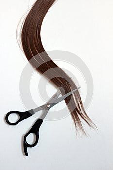 Scissors Cutting Auburn Brown Hair