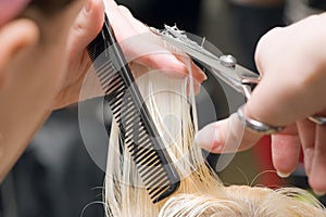 Scissors cutting hair