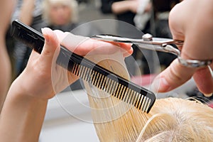 Scissors cutting hair