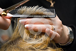 Scissors cutting hair