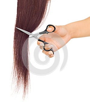 Scissors cutting lock of hair