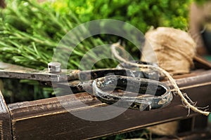 Scissors with fresh herbs on wooden crate, closeup