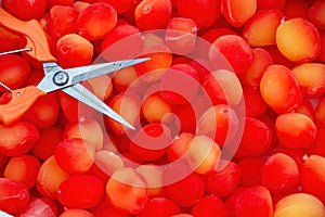 Scissors in front of red gold prunes background.