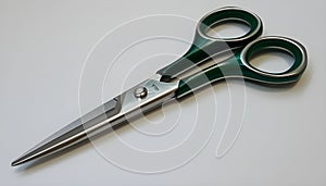 Scissors green tools stainless