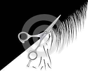 Scissors hairdresser