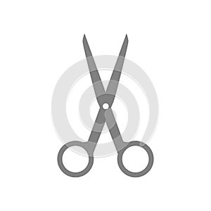 Scissors icon. Vector Illustration photo