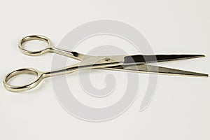 Scissors isolated white background