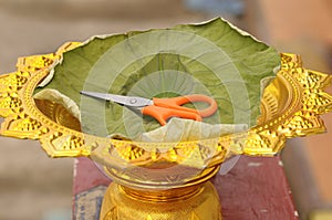 The scissors are placed in gold tray and padded with lotus leaves.