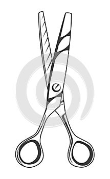Scissors symbol isolated on white background. Opened hair cutting scissors. Barber logo icon