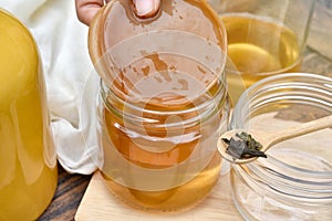 Scoby, Hand holding tea mushroom with kombucha tea, Healthy fermented food. photo
