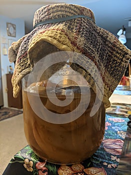 A scoby Hotel. A jar full of scoby bacteria photo