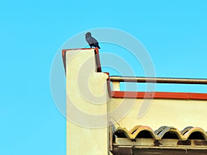Scoglitti, Sicily, Italy