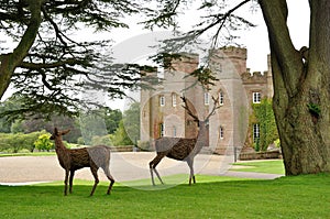 Scone palace photo