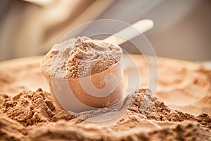 A scoop of chocolate whey isolate protein