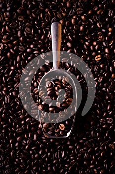 Scoop of coffee beans