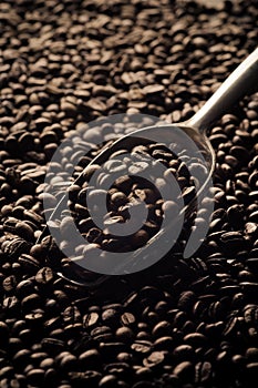 Scoop of coffee beans