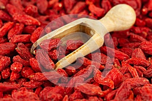 Scoop with dried goji berries in close-up, selective focus