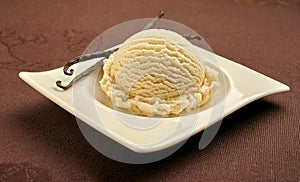 Scoop of gourmet vanilla ice cream with dried pods