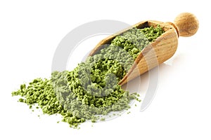 Scoop of green matcha tea powder