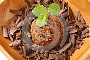 Scoop of ice cream and chocolate shavings